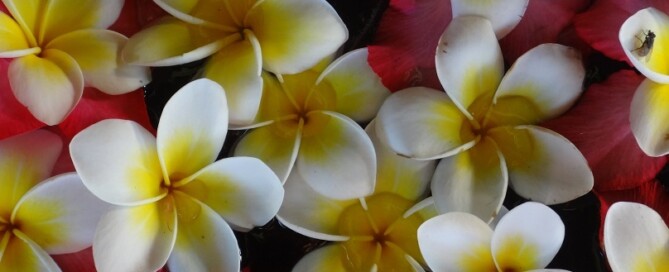 Flores Ubud Uluwatu 1502 302